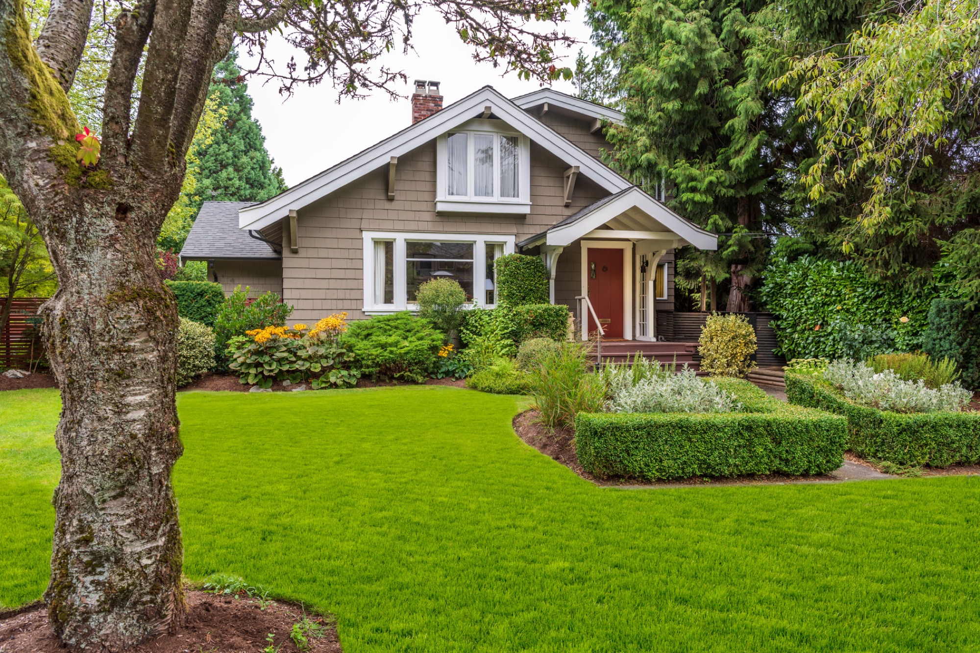 Healthy residential lawn